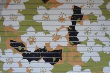 Cherry blossoms