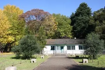 Gallery image