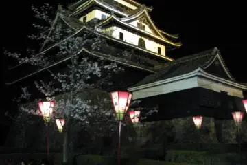Night festival season at the castle