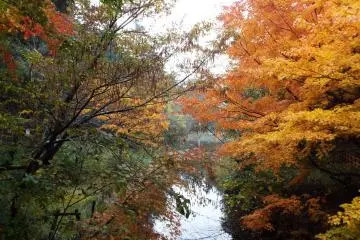 Omyia Pond in Ochidani Park