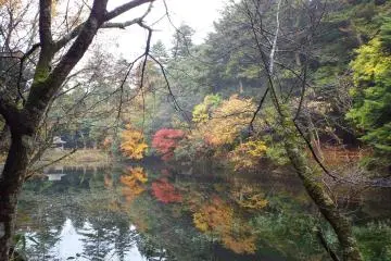 Omyia Pond in Ochidani Park: Fall Reflection