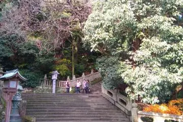 The Steps