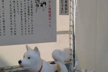 Konpirasan also the shrine for dogs 