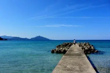Wakasa Takahama : Paradis Tropical