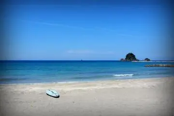 <p>Des planches de surf et de paddle bordent la plage</p>
