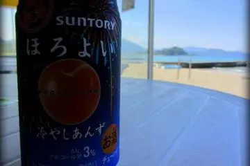 <p>Cette cabane de plage propose &eacute;galement une grande vari&eacute;t&eacute; de boissons fra&icirc;ches id&eacute;ales pour profiter du lieu</p>