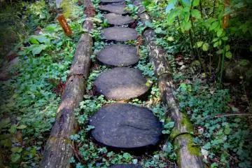Mt. Takao's Monkey Park and Garden