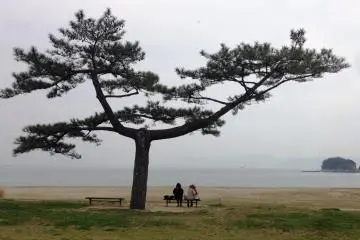 Watching the sea