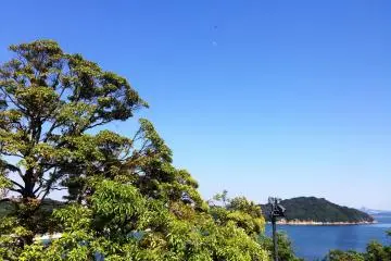 Have a champagne breakfast in Naoshima