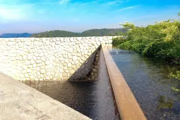 Art and nature