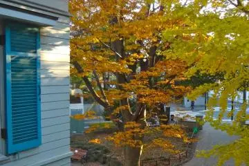 An afternoon in autumn