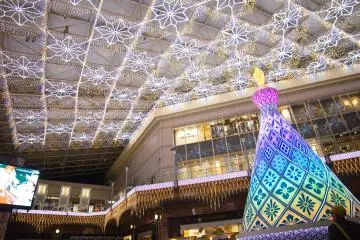 The Christmas tree of light would change into beautiful colours