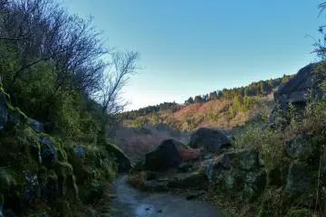 A path leading to the pond