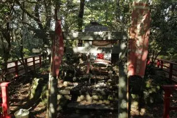 El Santuario de los Gatos