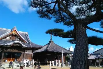 Nagaoji