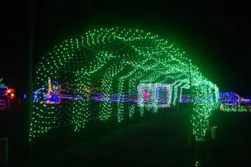 Tunnel of green lights