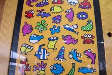 Cartoon marine life decorations