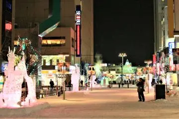 The shopping street is transformed to an outdoor art gallery
