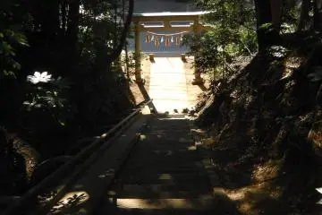 Stairway to reality