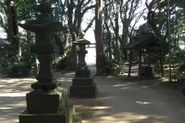 Explore through the trees
