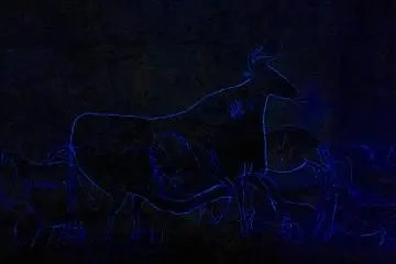 Every few minutes the light is switched off and the painting glows