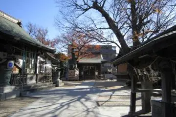 General view of the shrine complex