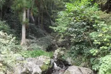 The path to the falls is on the left here