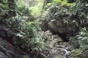 Completely untouched by human hand