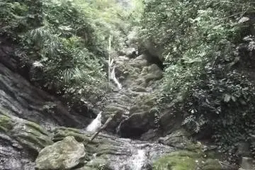 The water collects in a small pool at the base of the falls