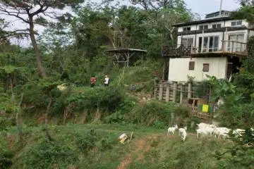 View of the Nature Cottage and Hatake (Veggie Gardens) (Photo: Yuki Takata)