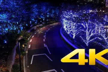 แสงสีที่โตเกียว มิดทาวน์