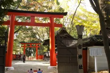 Gallery image