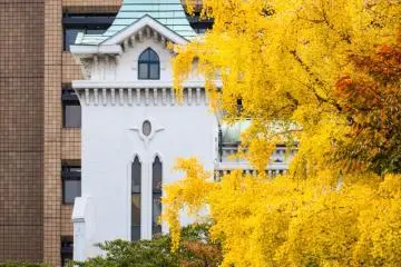 A fine old church looks even better with some yellow