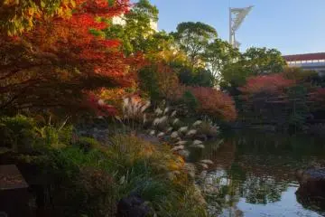 Kannai Park near the stadium