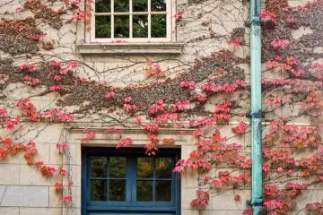 A building with red