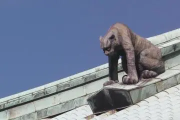 <p>View from the rooftop</p>