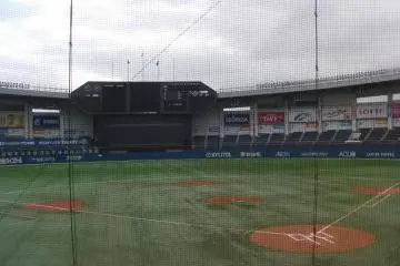 The field isn't always this quiet
