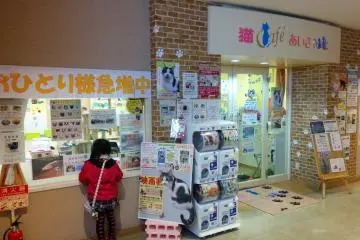 Gallery image