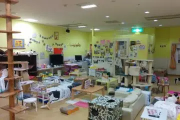 Gallery image