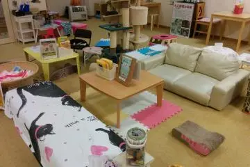 Human lounge area