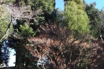 The garden at the rear of the worship hall