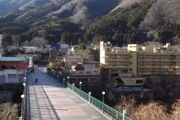 The Fureai Bridge