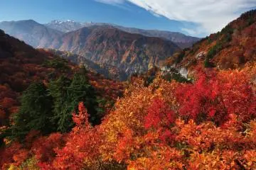 Les couleurs de l'automne