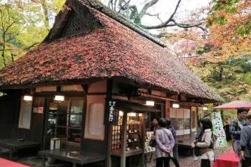 ร้านมิซุทะนิ-ชะยะ (Mizutani-chaya) ในเมืองนารา