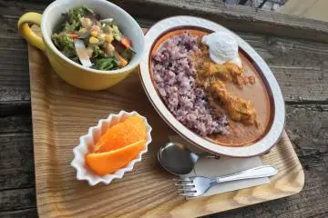 Delicious chicken curry with heavy cream