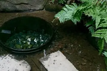 Kiyomasa's Well (Photo: Olga Kaneda)