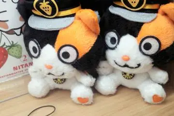 ตุ๊กตาทะมะในร้านขายของที่ระลึก