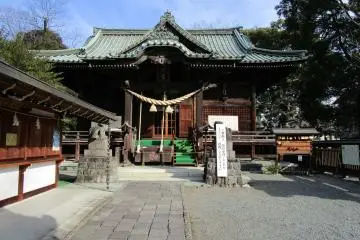 Gallery image
