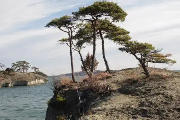 The edge of the horse