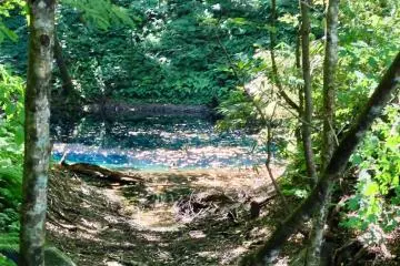 View from the starting point of the pond